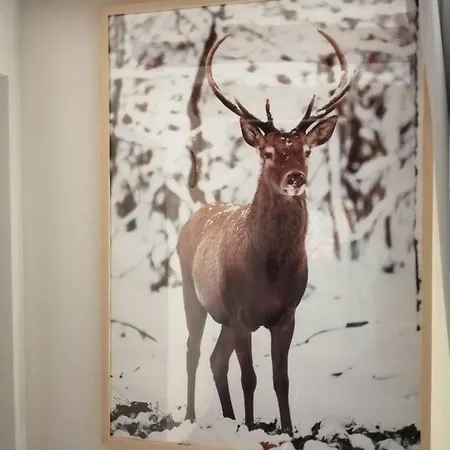 Apartment Le Courtil *